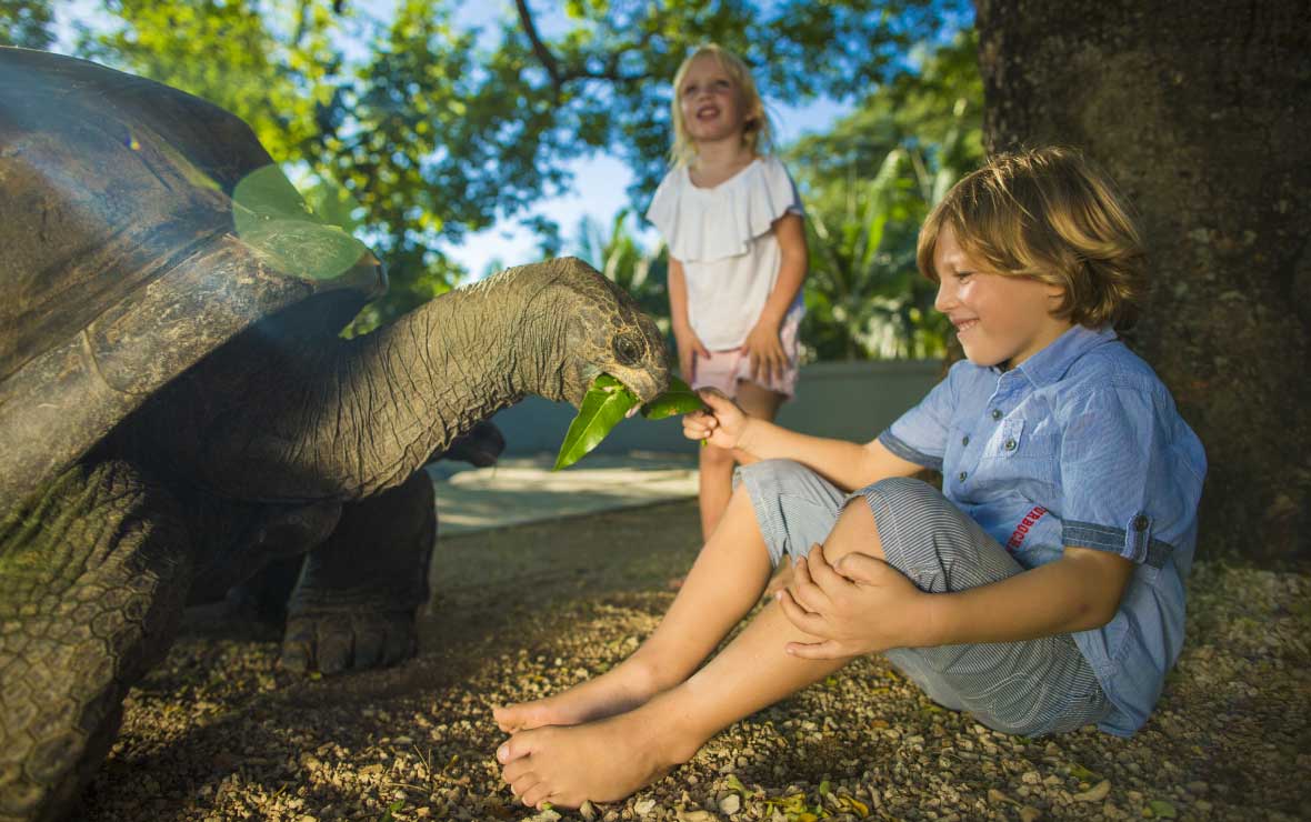 Giant Tortoise Park