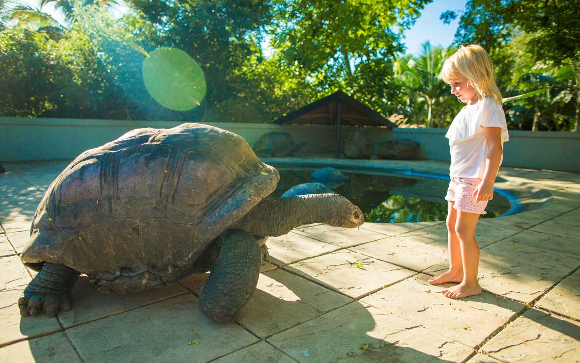 Giant Tortoise Park