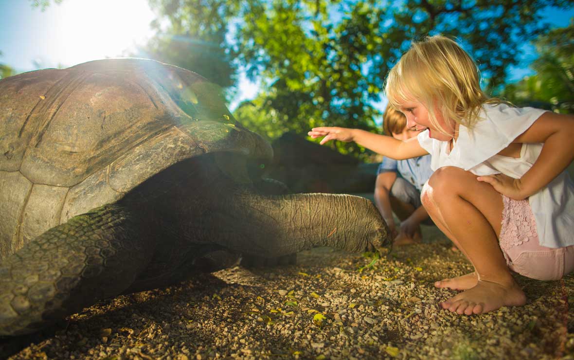 Giant Tortoise Park