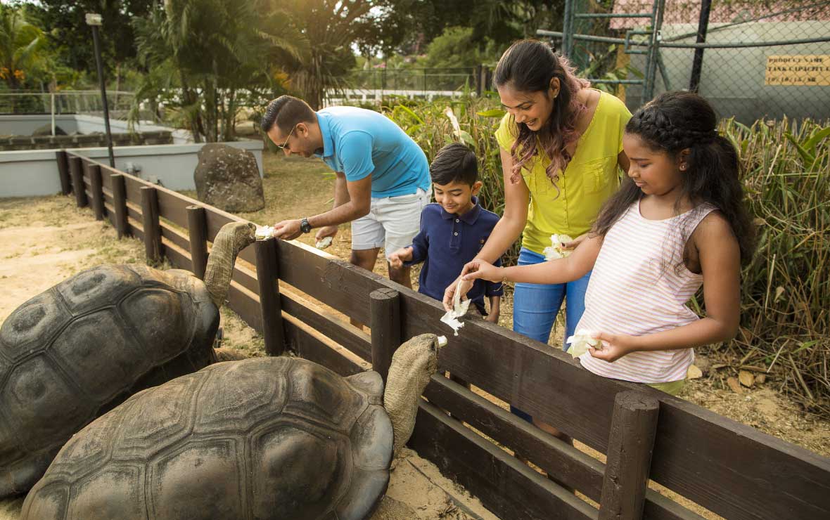 Giant Tortoise Park