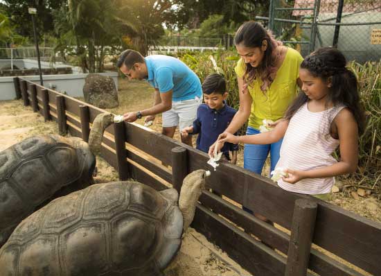 Giant Tortoises Park