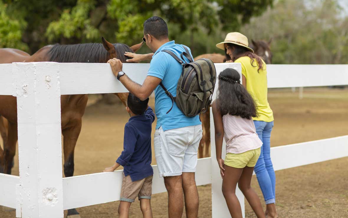 Maritim Equestrian Centre