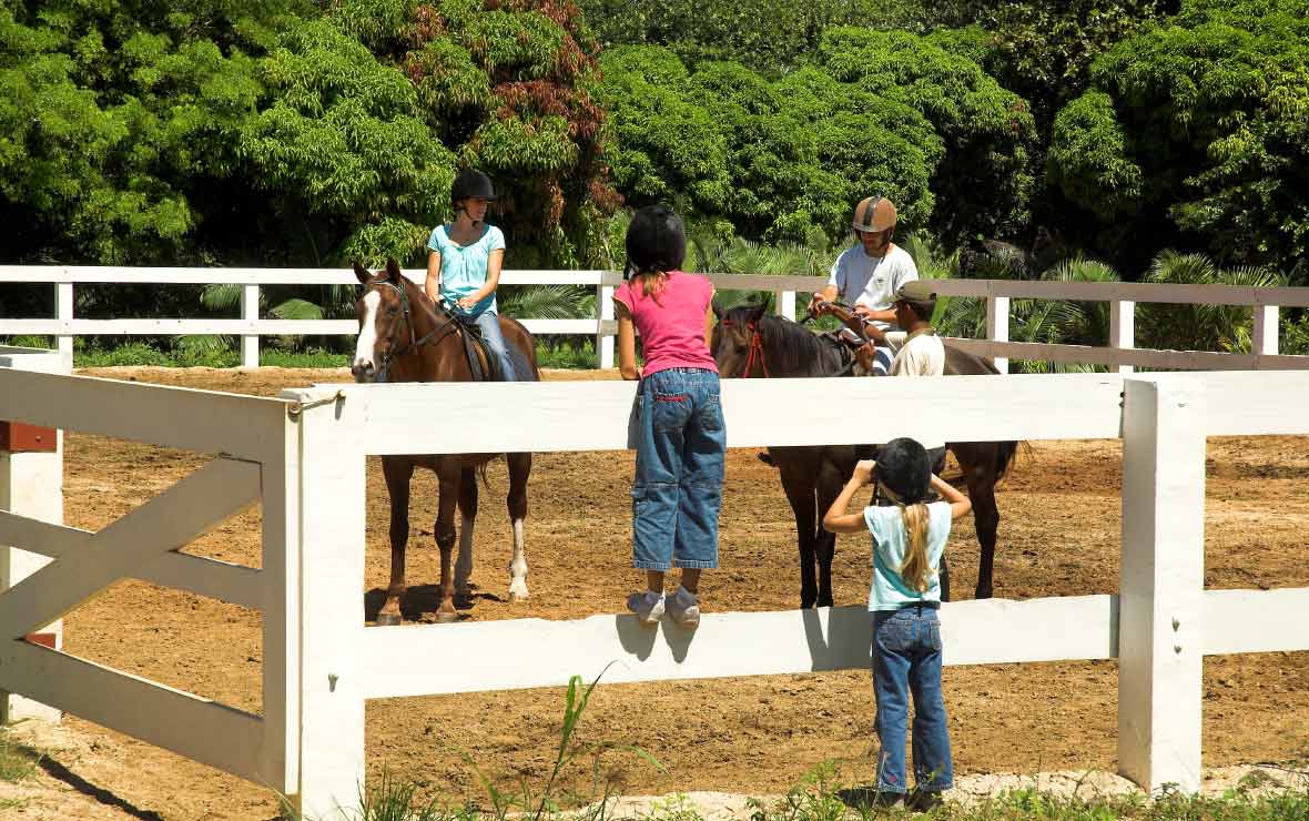 Maritim Equestrian Centre